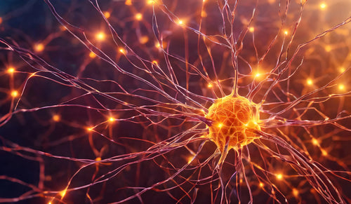 Decision fatigue science illustrated by a brain neuron firing with glowing orange synapses showing glutamate buildup.