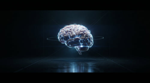 Human brain glowing with blue electrical energy, illustrating decision fatigue and brain chemistry.