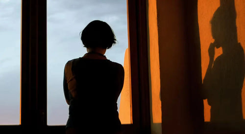 Silhouette of a person pausing thoughtfully at a window as their shadow reaches for the wall.