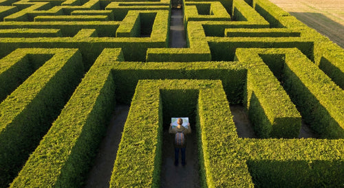 Why We Make Biased Decisions (And How to See What You’re Missing)