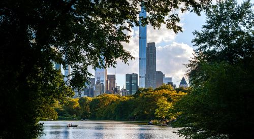 Central Park Gave Me My Brain Back in 20 Minutes