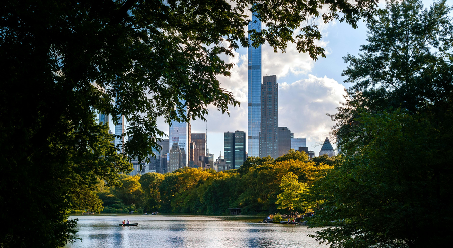Central Park Gave Me My Brain Back in 20 Minutes