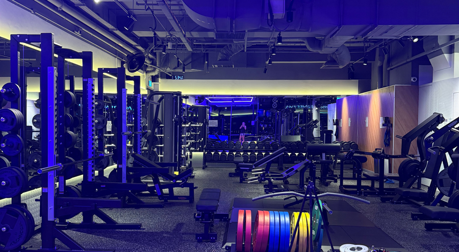 Coming Home: Jet Lag, the 5am Gym, and Getting Your Brain Back