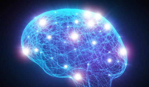 Brain neural network glowing in blue with bright synaptic firing points illustrating active cognitive performance.