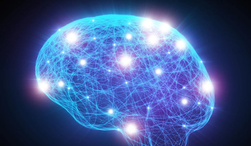 Brain neural network glowing in blue with bright synaptic firing points illustrating active cognitive performance.