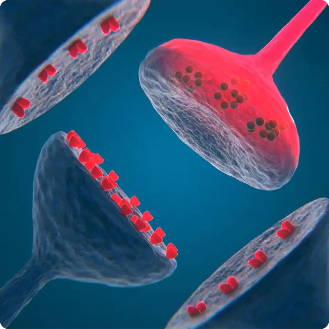 Microscopic cells with red drug particles being delivered through cellular structures