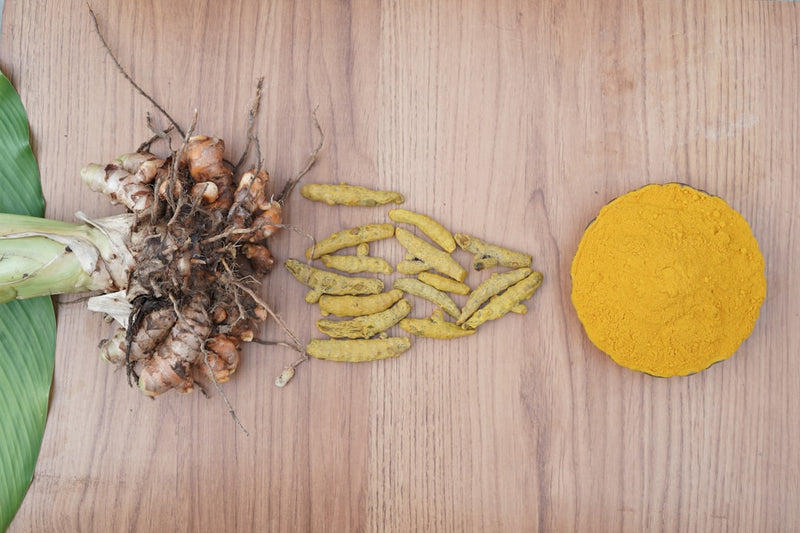 Curcumin
